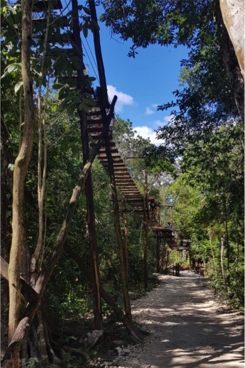 Horseback Riding - ZipLines & Cenote Tour - Image 4