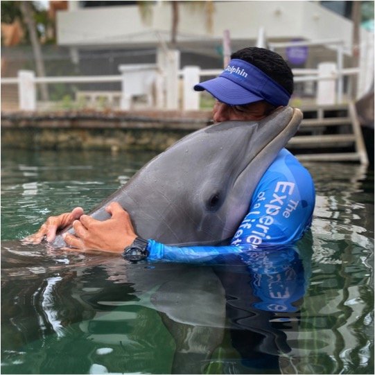 Dolphin Swim Encounter Tour - Image 7