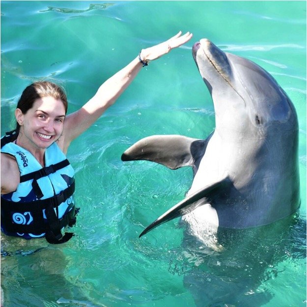 Dolphin Swim Encounter Tour - Image 8