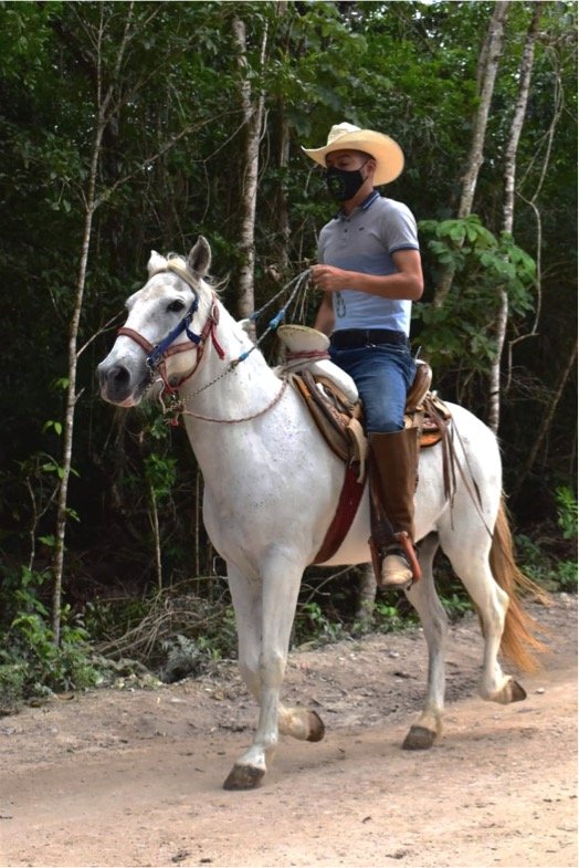 ATV´s Double & Horseback Riding & Cenote Combo Tour. - Image 2