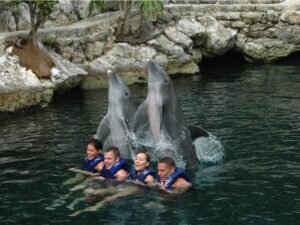 Dolphin Swim Adventure Tour