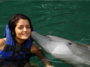 Dolphin Swim Encounter Tour