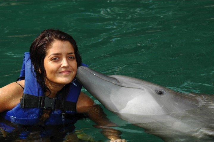 Dolphin Swim Encounter Tour