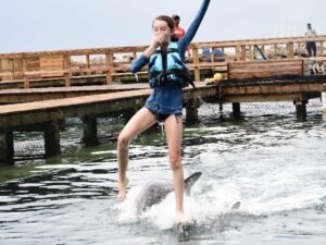 Dolphin Royal Swim Tour