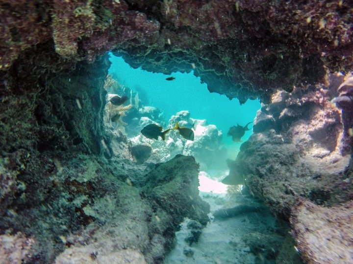 Isla Mujeres Catamaran Pleasure Tour - Image 8