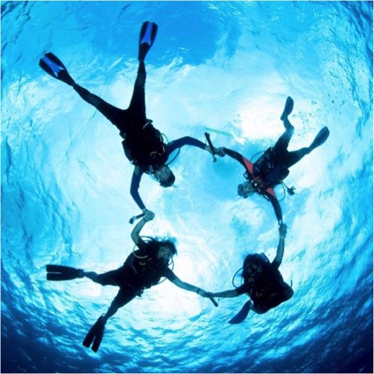 Certified Diving Cozumel Tour - Image 6