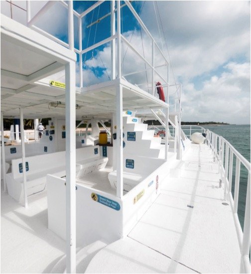 Cielo Cozumel By Catamaran & Beach Club Tour - Image 3