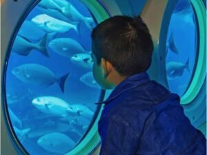 Cozumel Submarine Tour